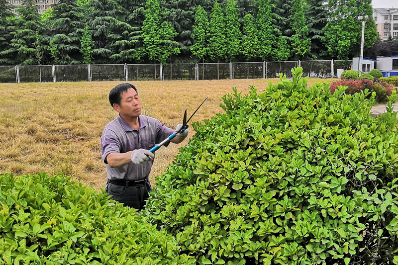 用汗水梳洗著園區(qū)的容貌